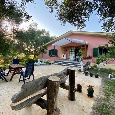 Endless Green: Feel Free And Cozy In Nature Perivolion ภายนอก รูปภาพ